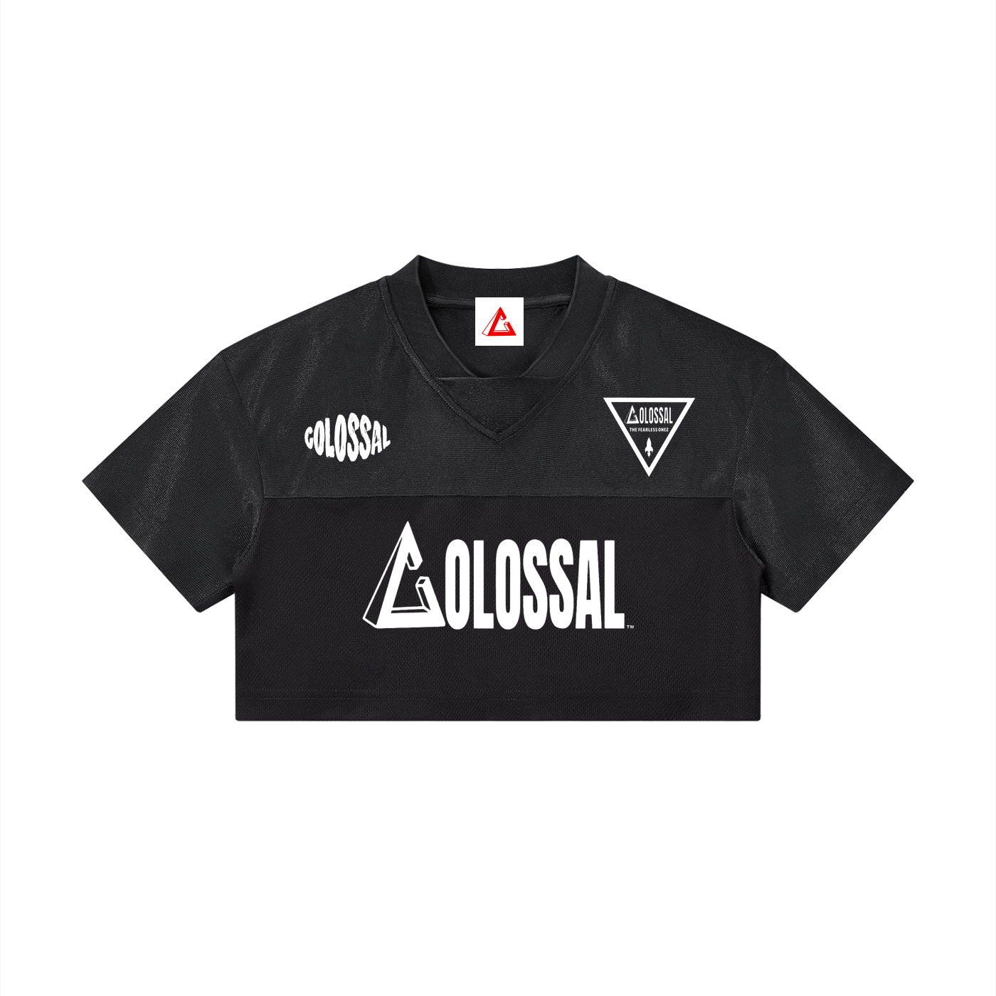 Women’s Cropped Paneled V-Neck Jersey