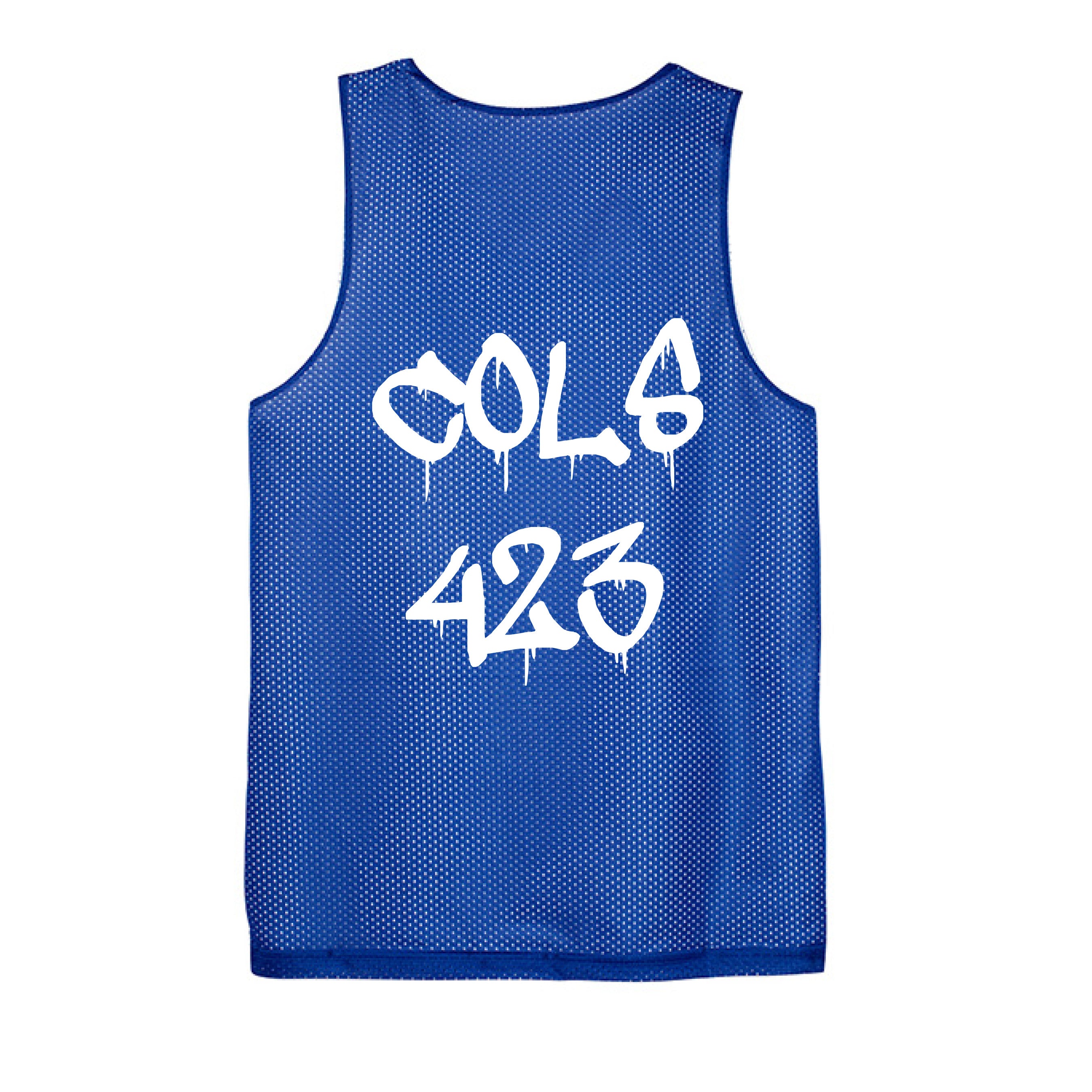 Royal/White - BACK