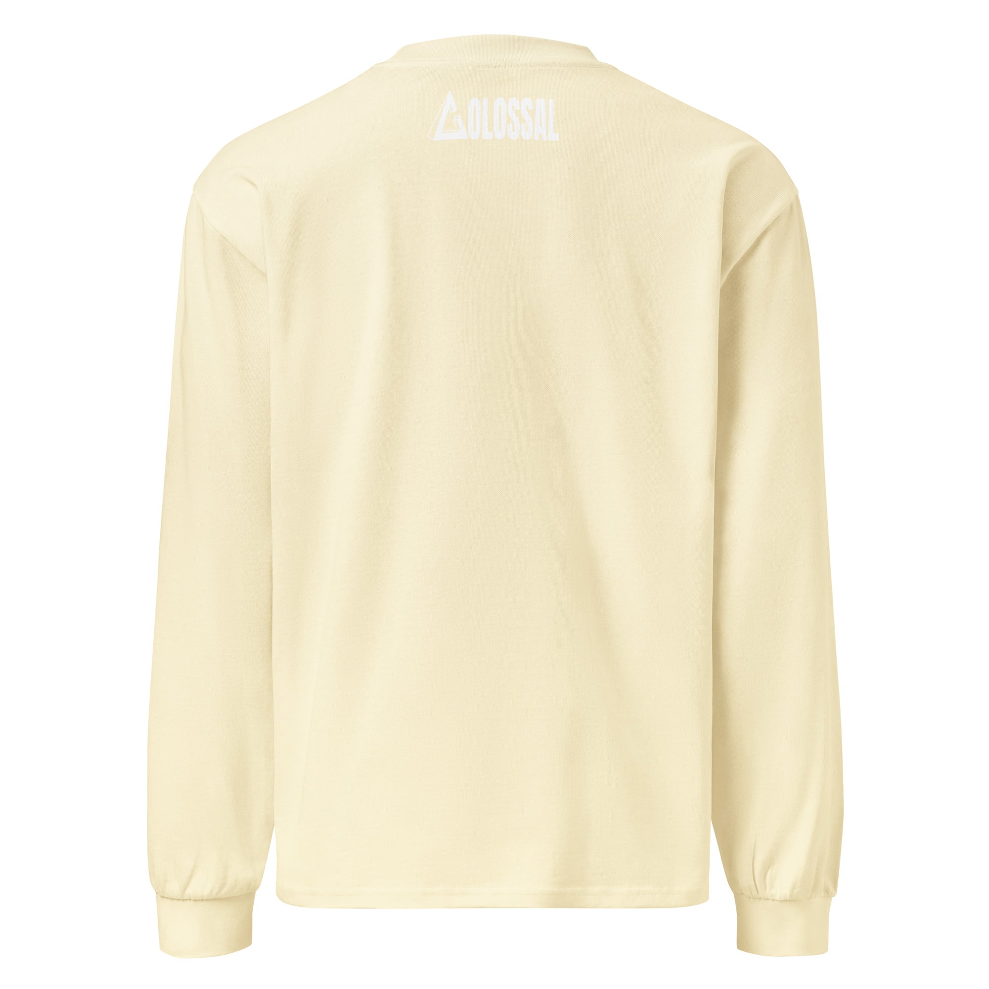 COLOSSAL WEALTH heavyweight long sleeve shirt
