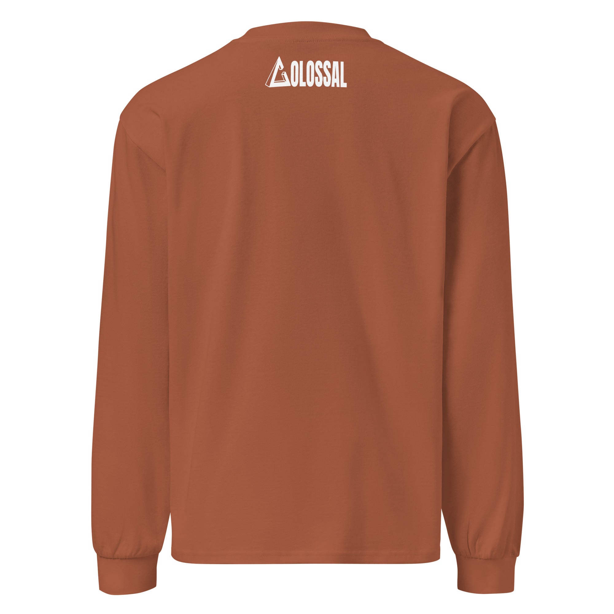 COLOSSAL WEALTH heavyweight long sleeve shirt