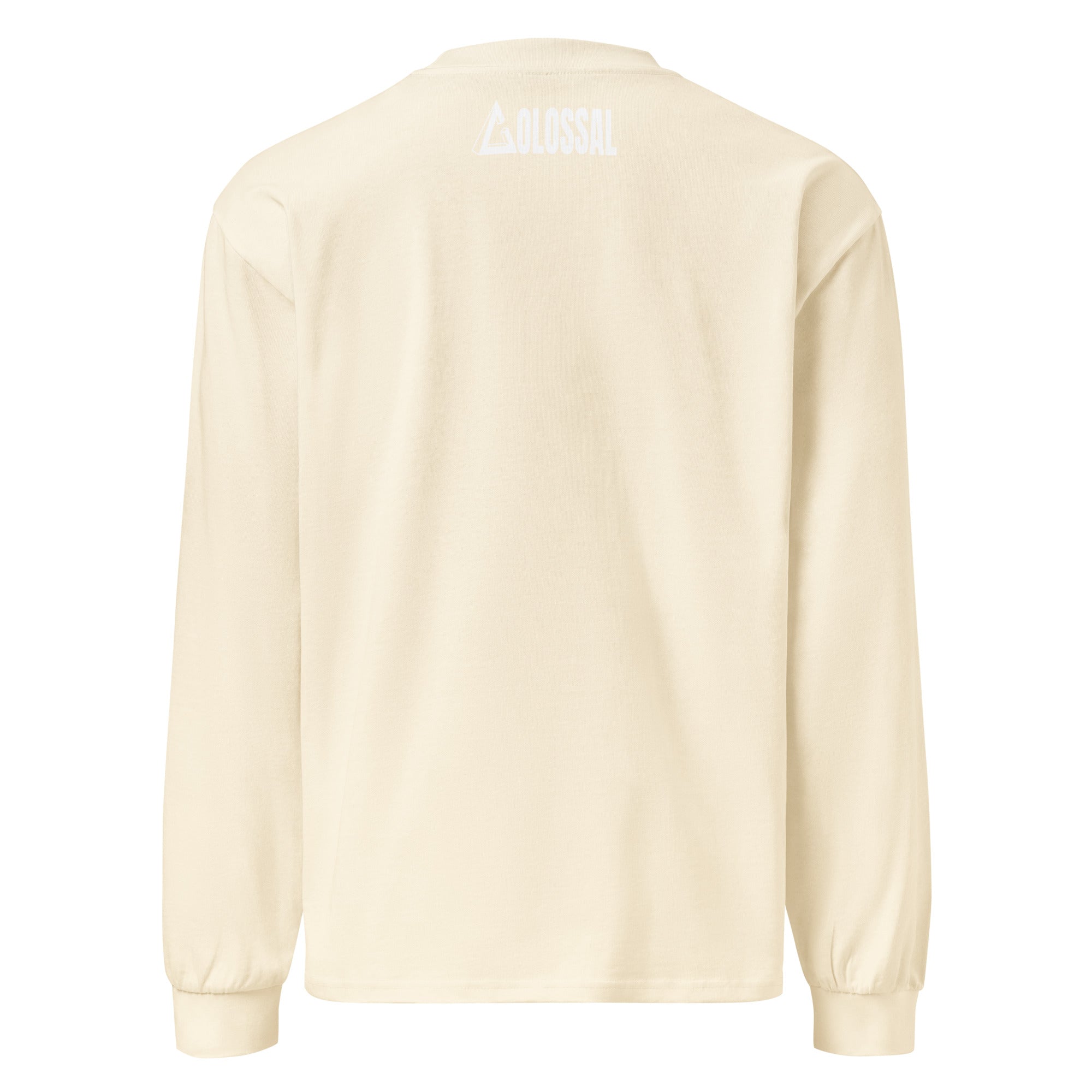 COLOSSAL WEALTH heavyweight long sleeve shirt