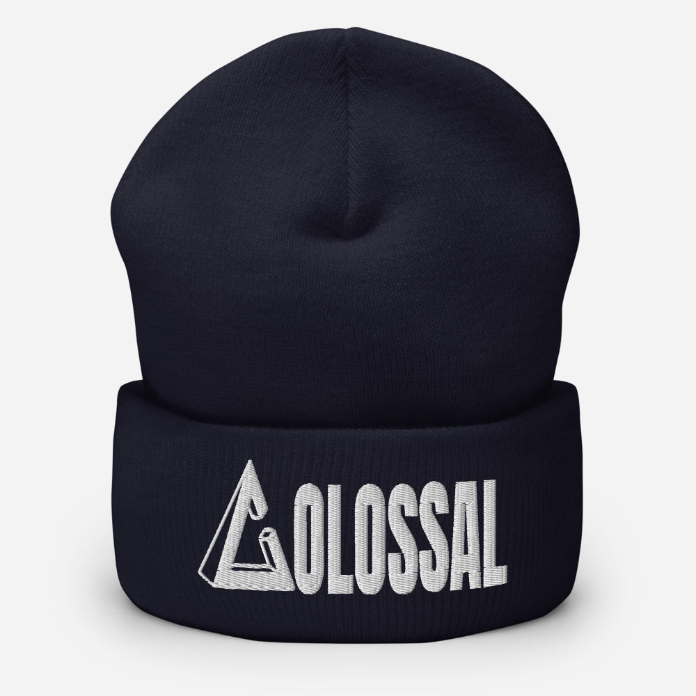Cuffed Beanie