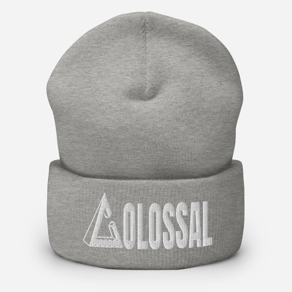 Cuffed Beanie