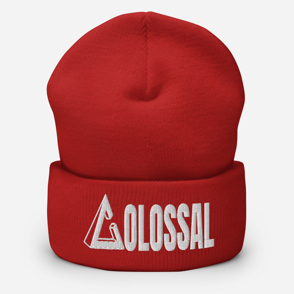 Cuffed Beanie