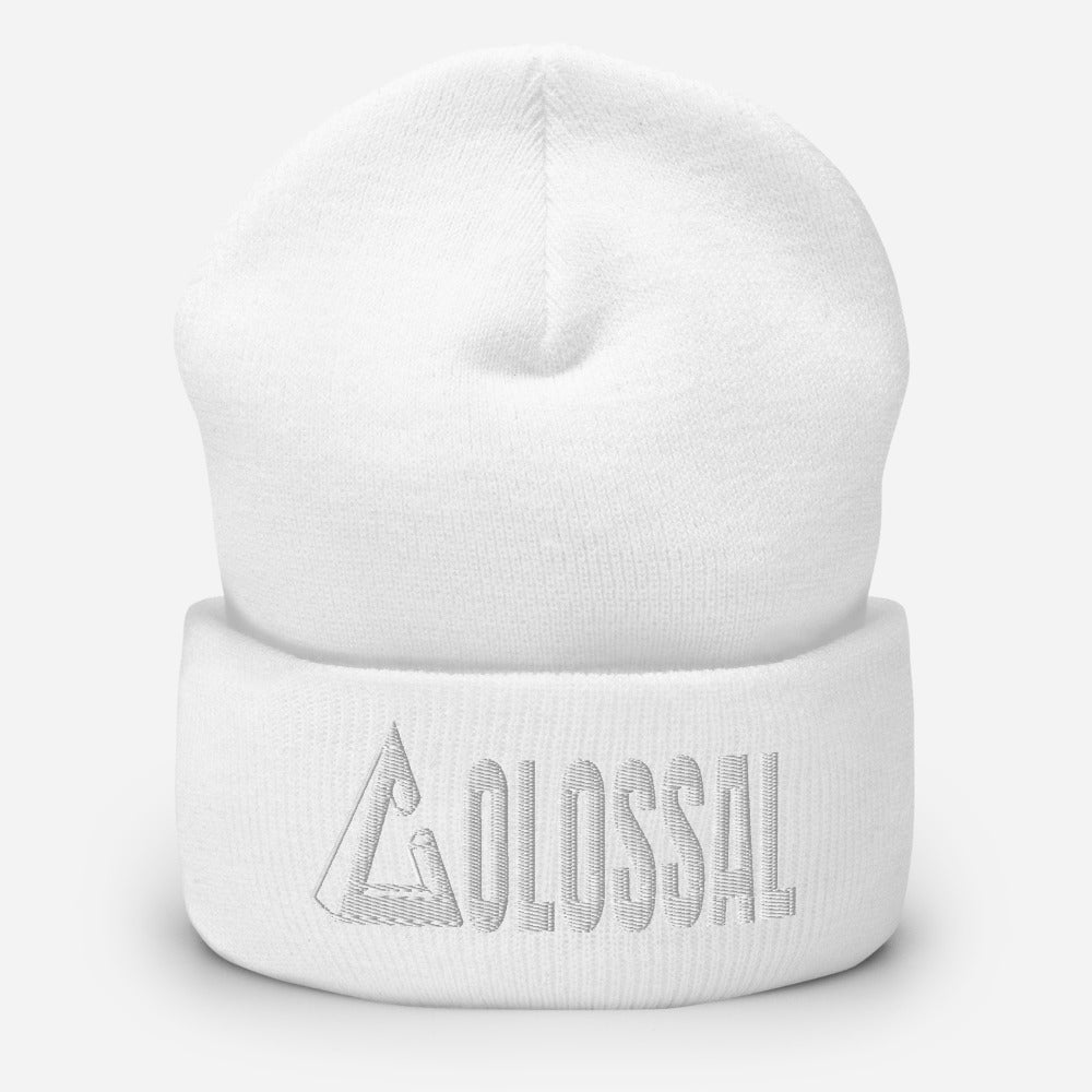 Cuffed Beanie