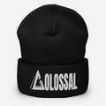 Cuffed Beanie