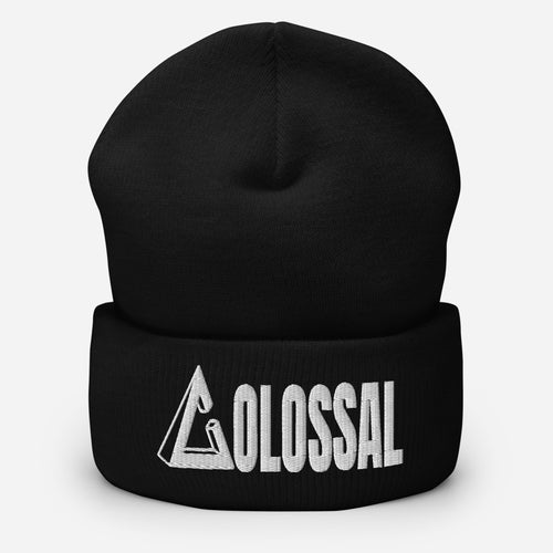 Cuffed Beanie