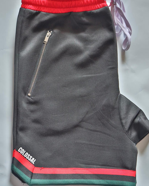 Colossal Men Shorts w/ zipper pockets